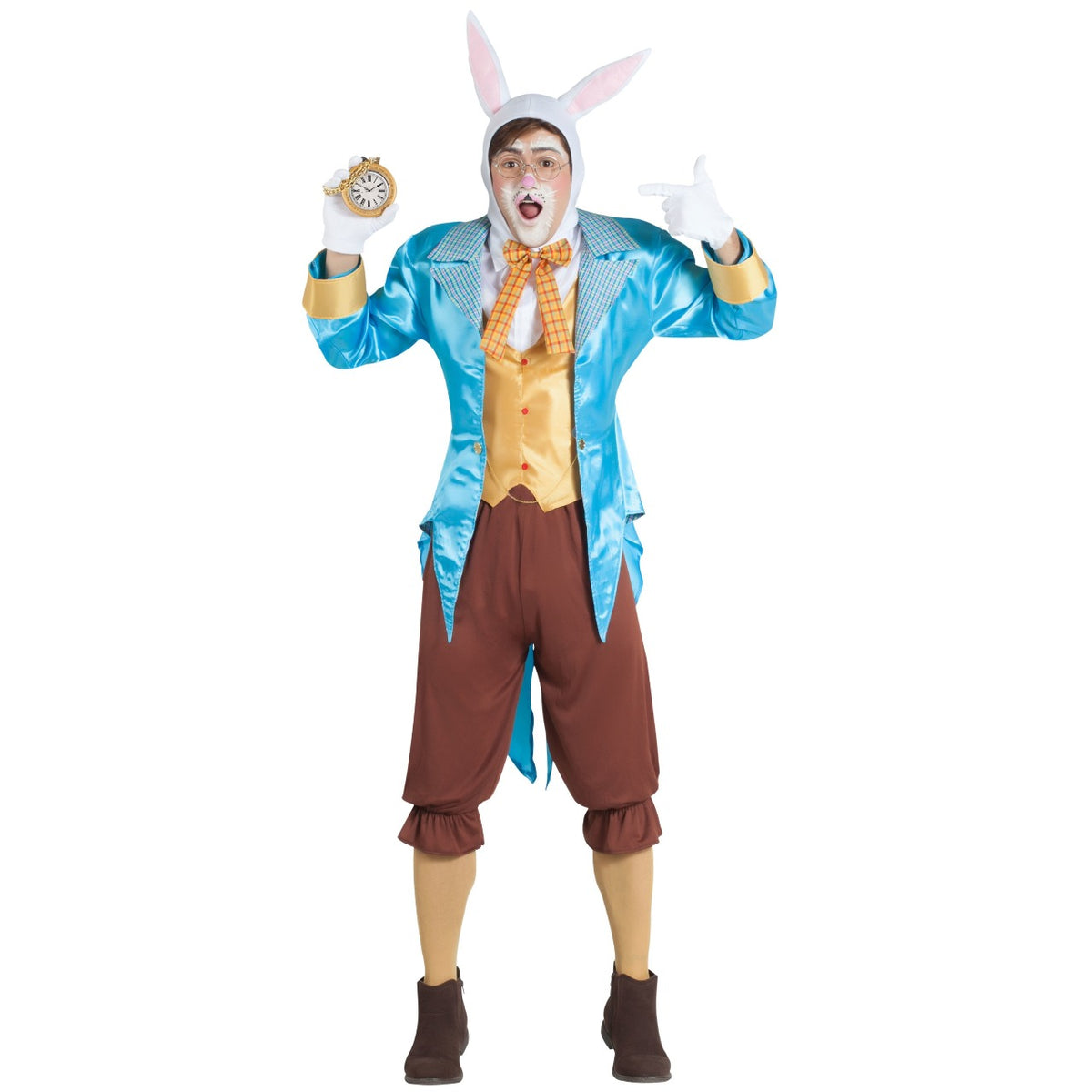 Alice and White Rabbit Group Costumes