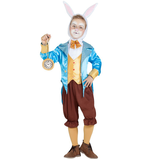Boys Blue Alice Rabbit Costume
