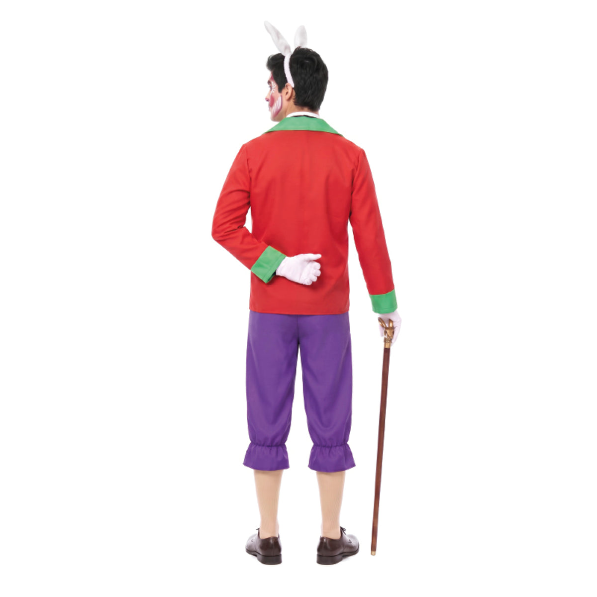 Mens Fun Alice Rabbit Costume