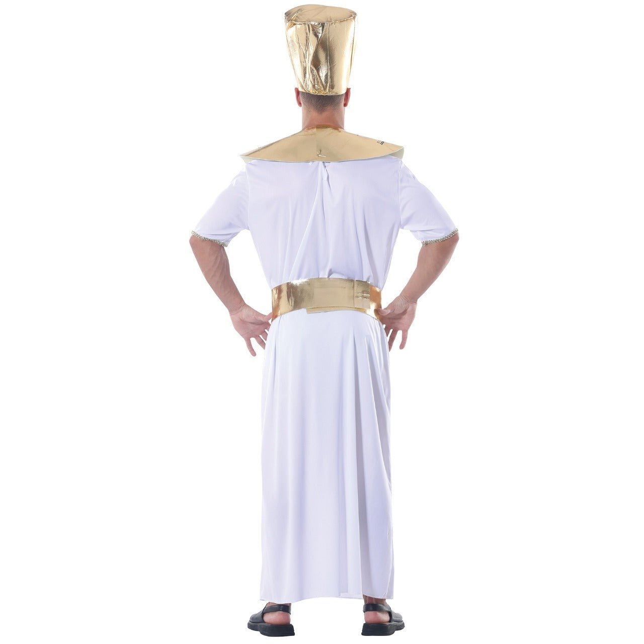 Mens Egyptian Pharaoh Costume