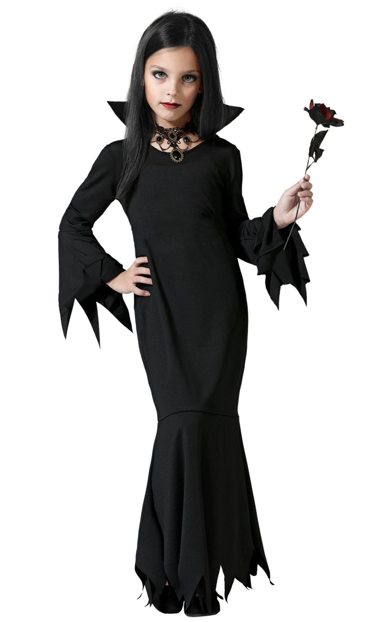 Luxury Sinister Family Group Costumes