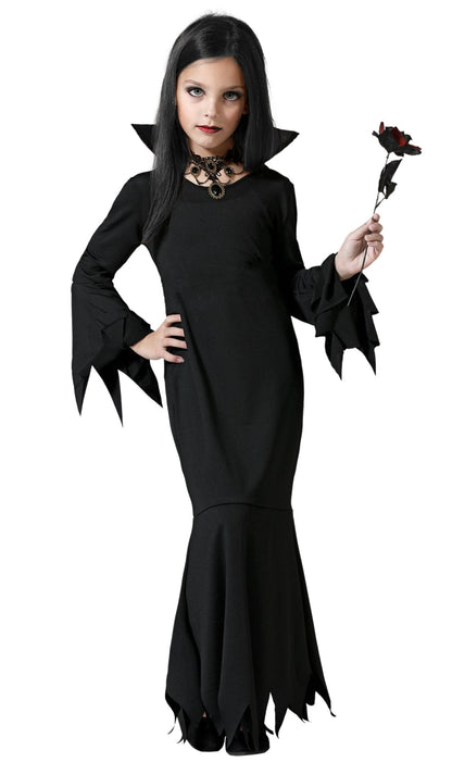 Luxury Sinister Family Group Costumes