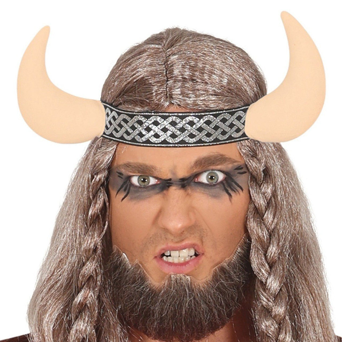 Mens War Viking Costume