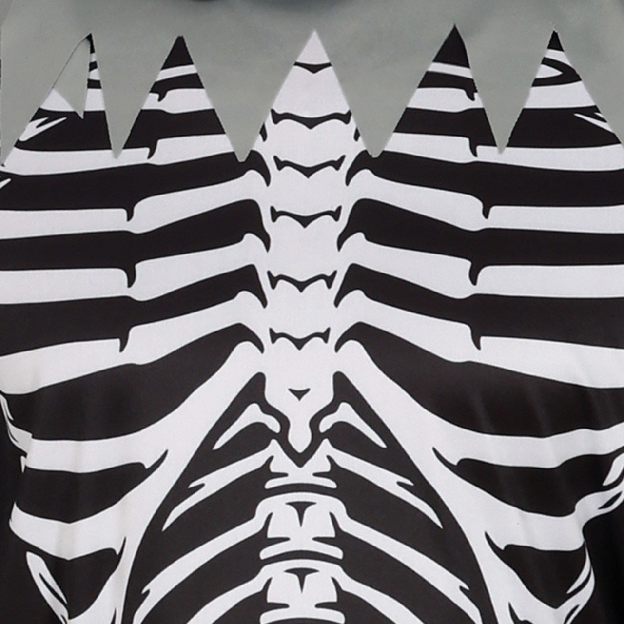 Adult Mystic Skeleton Costume