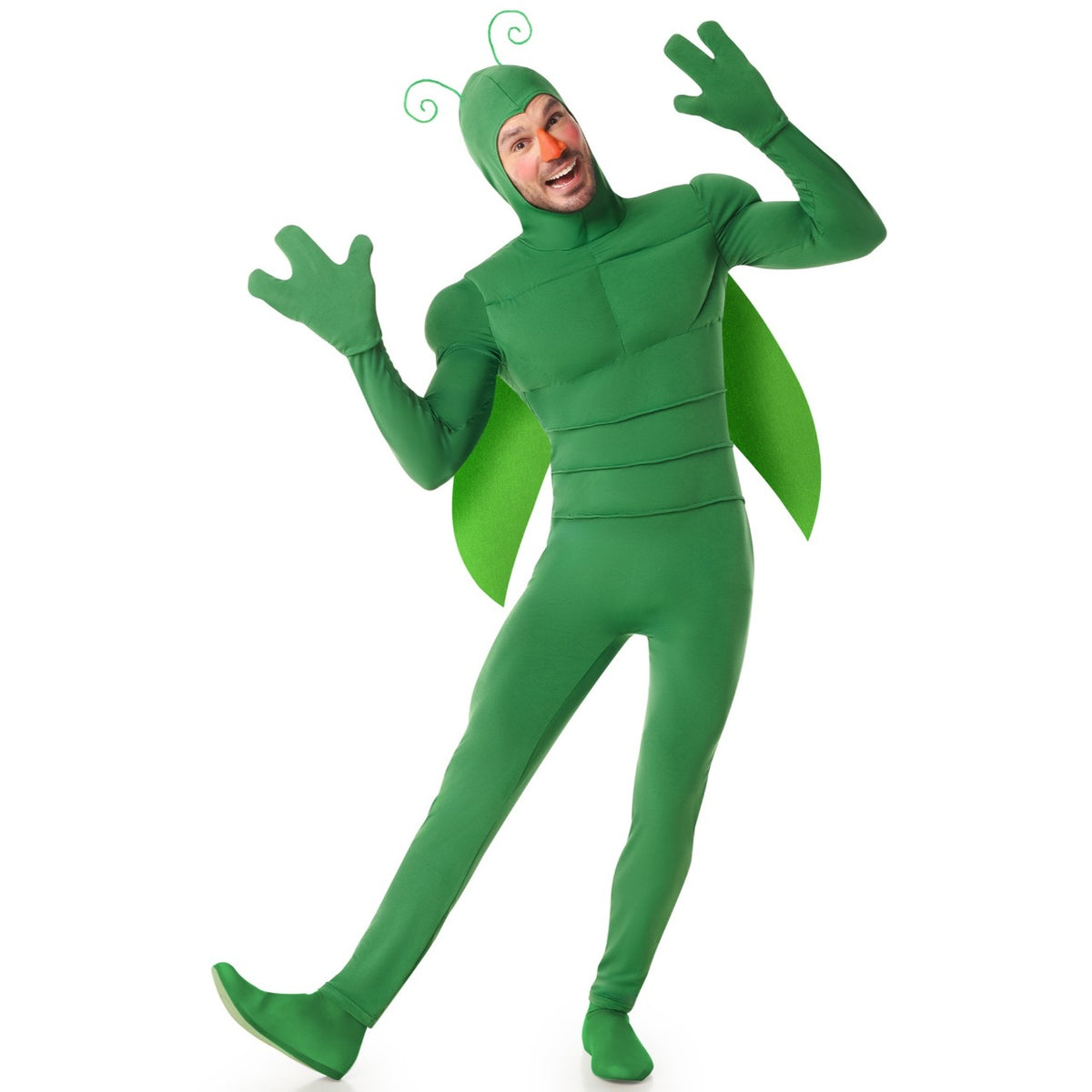 Mens Green Insect Costume