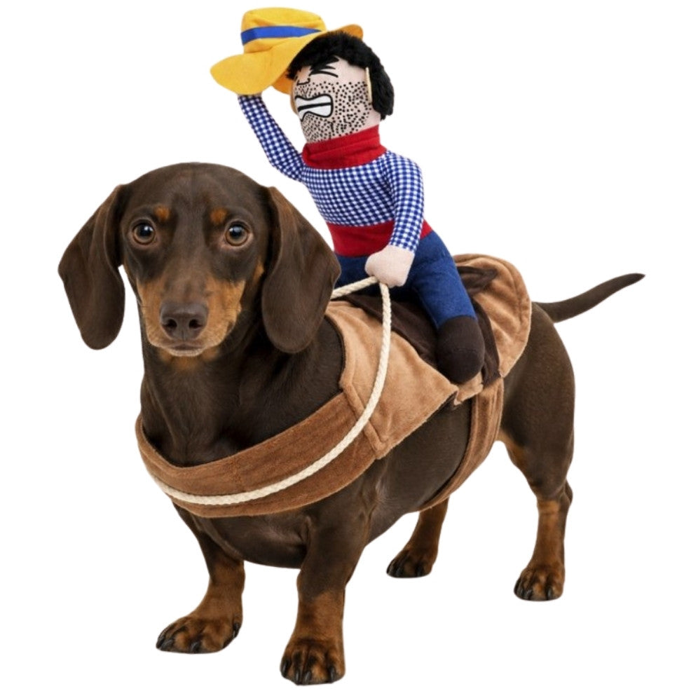 Rider Costume for Pet