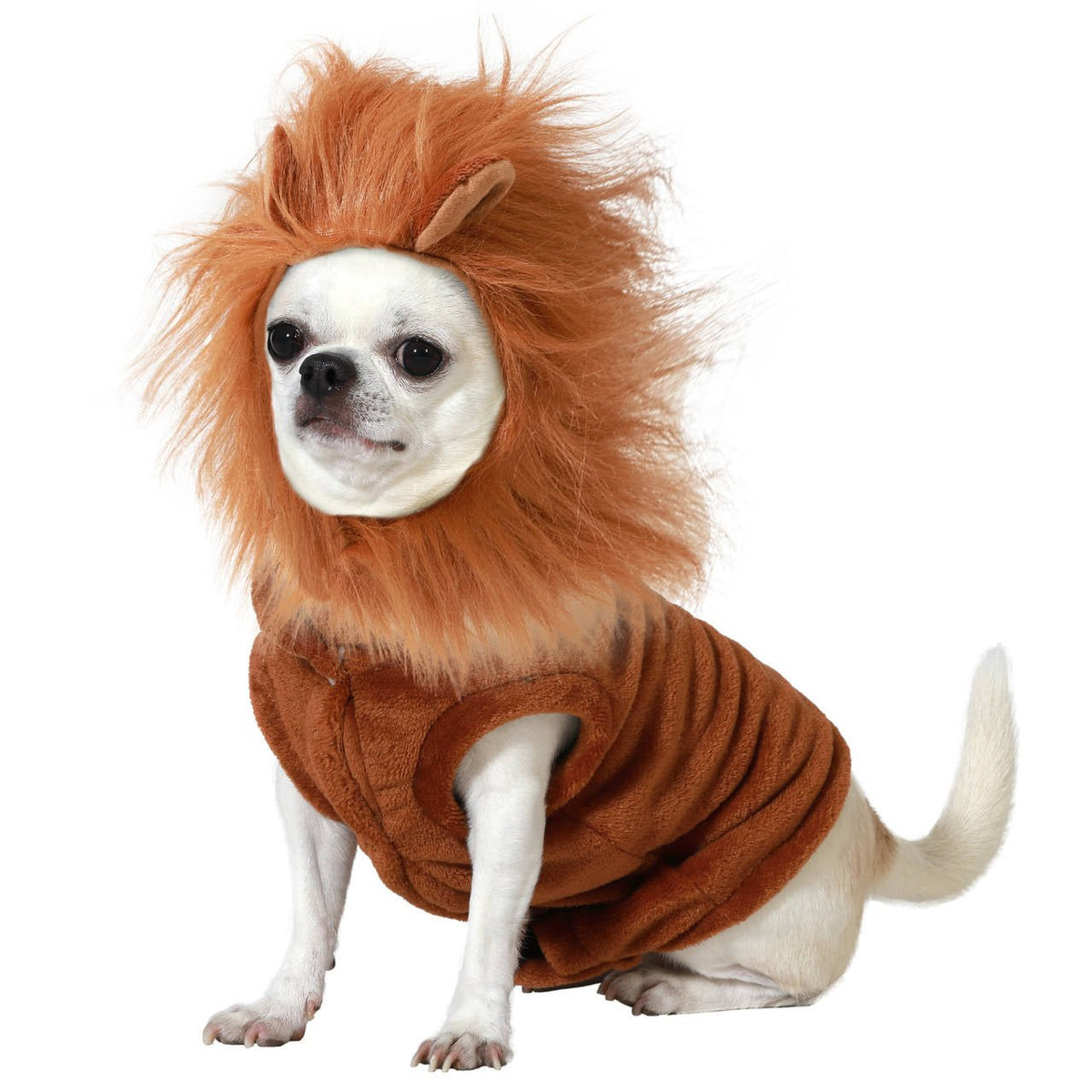 Lion Costume for Pet