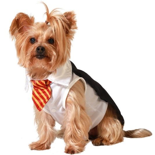 Harry School Wizard Pet Costume