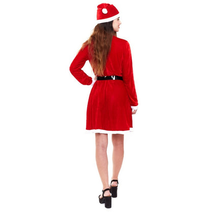 Womens Mrs Claus Christmas Costume