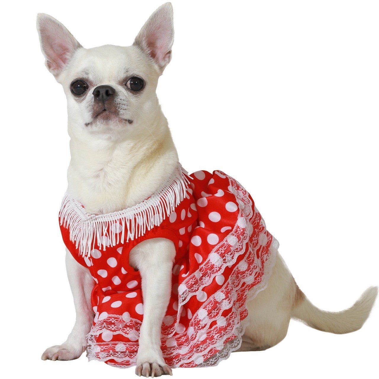 Sevillana Costume for Pet
