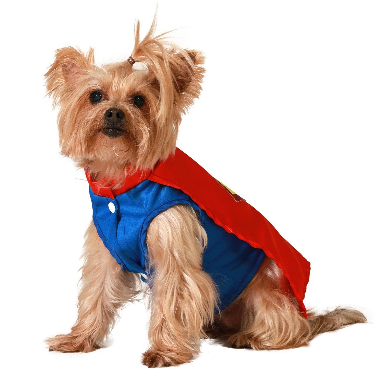 Superhero Costume for Pet
