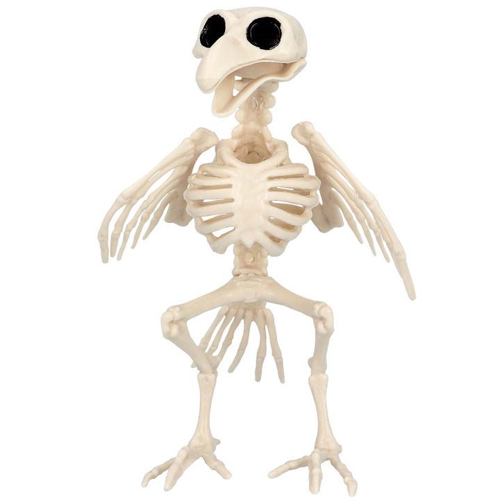 Crow Skeleton