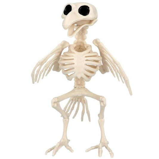Crow Skeleton