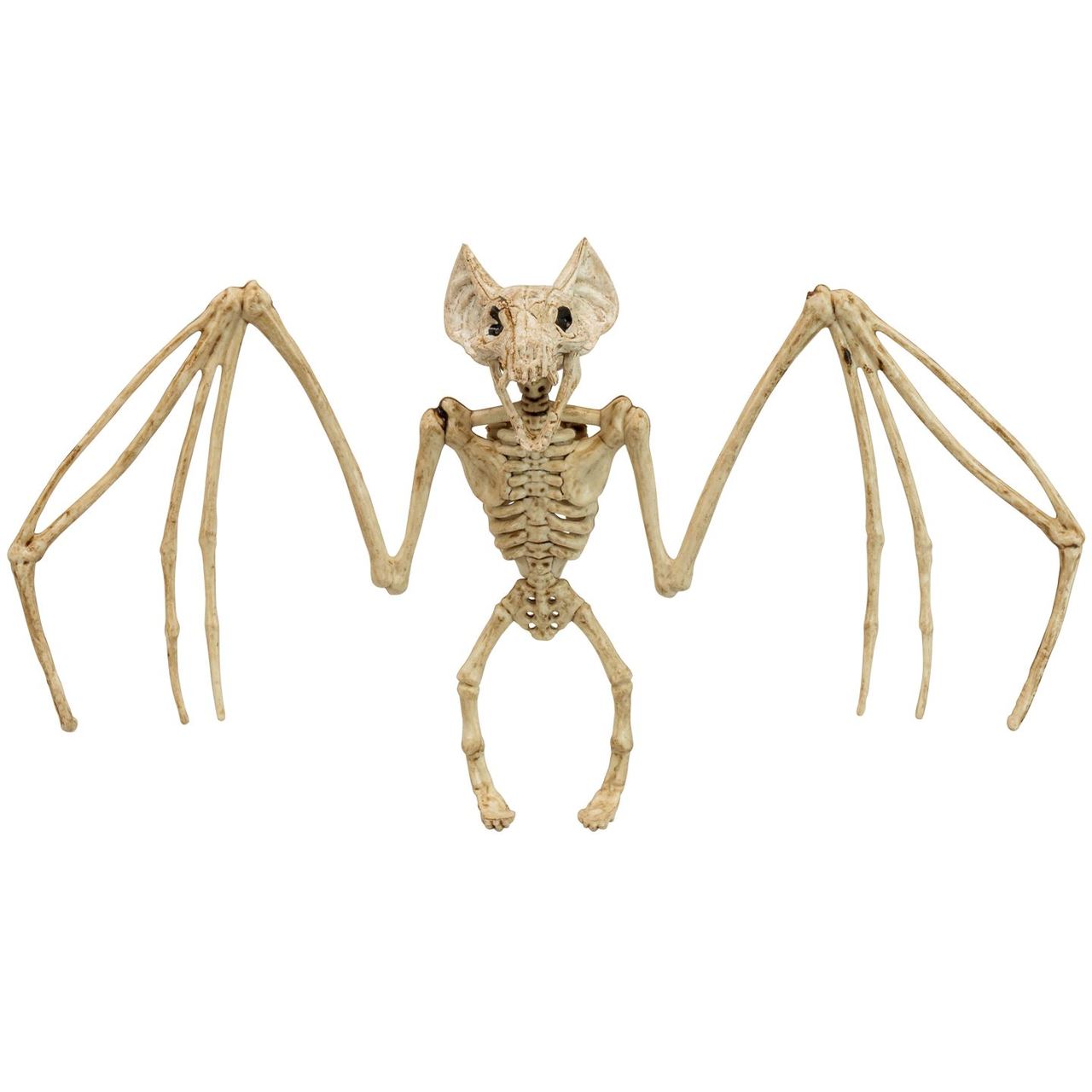 Bat Skeleton Wings