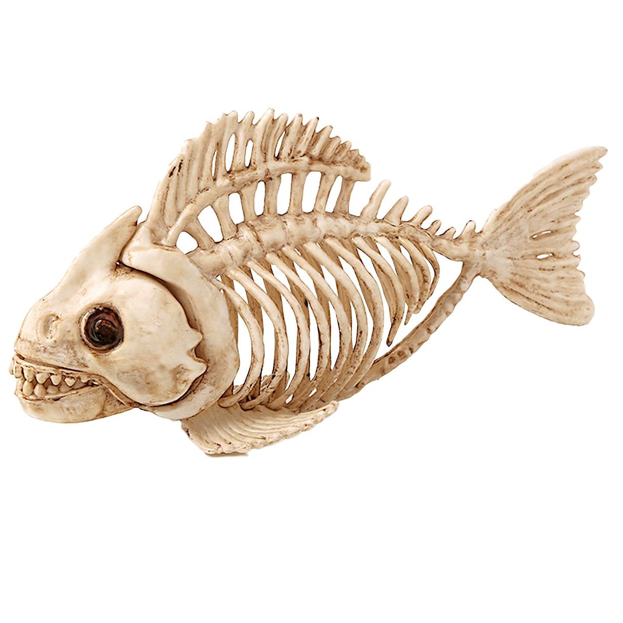 Bloodthirsty Piranha Skeleton