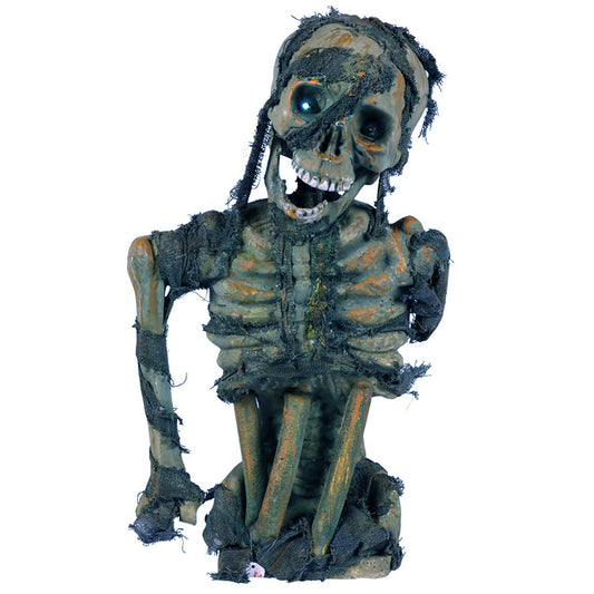 Light-up Skeleton Bust