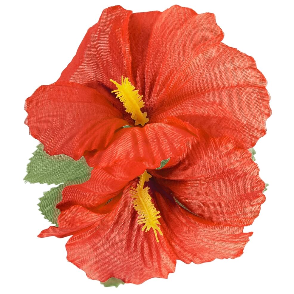Red Hawaiian Flower