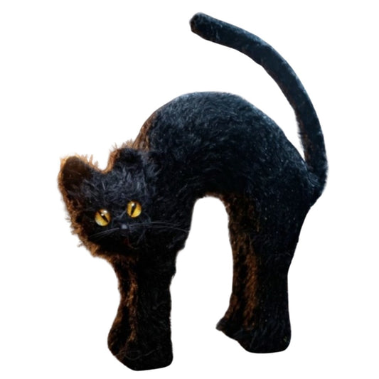 Angry Black Cat