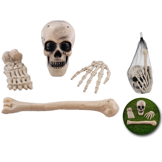 Skeleton Bones