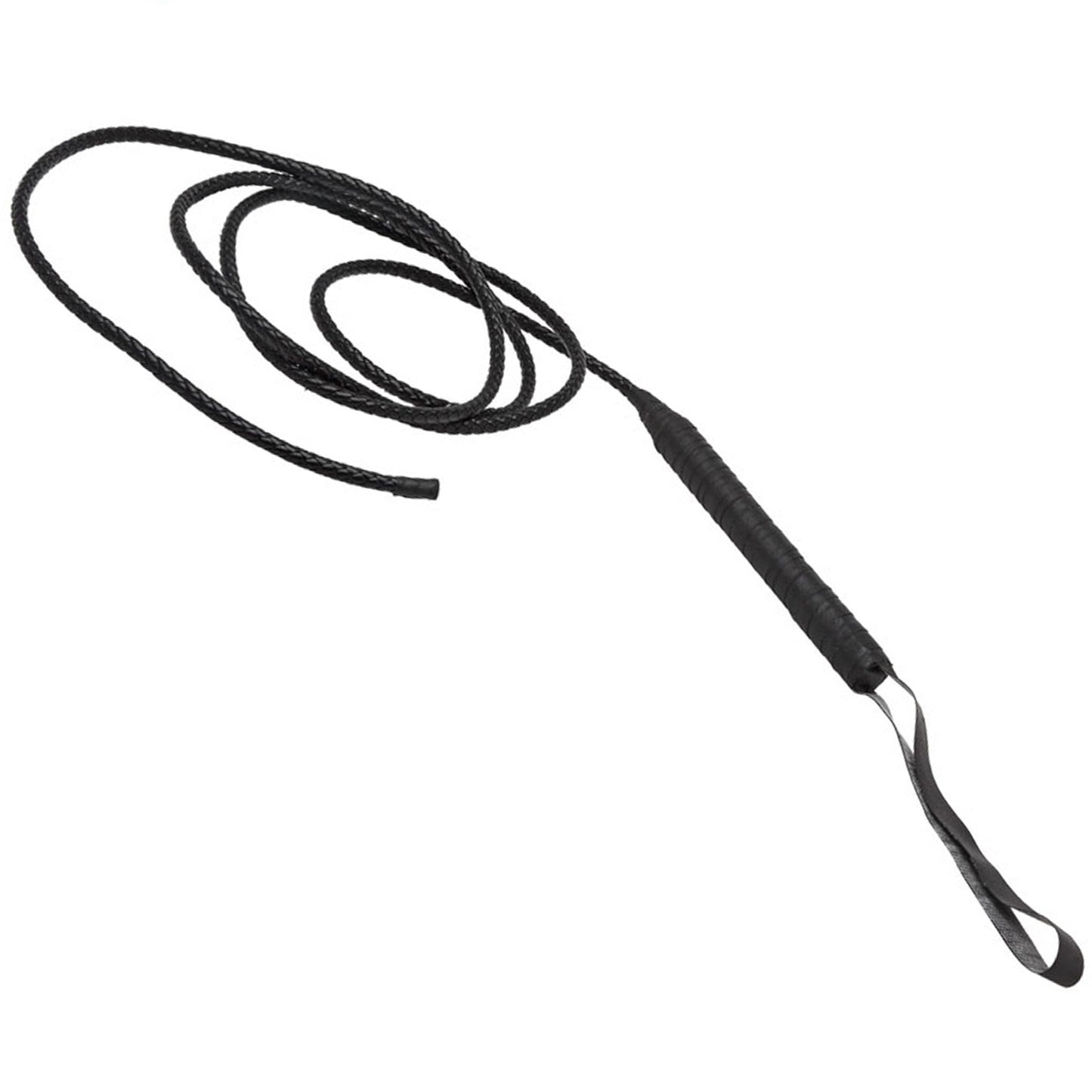 Black Whip