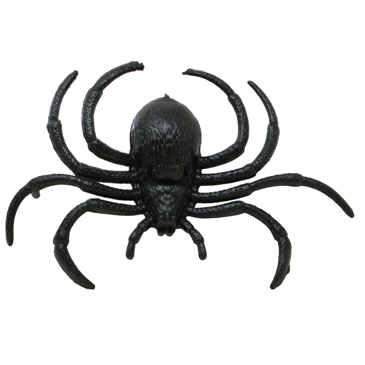 Pack of 12 Black Spiders