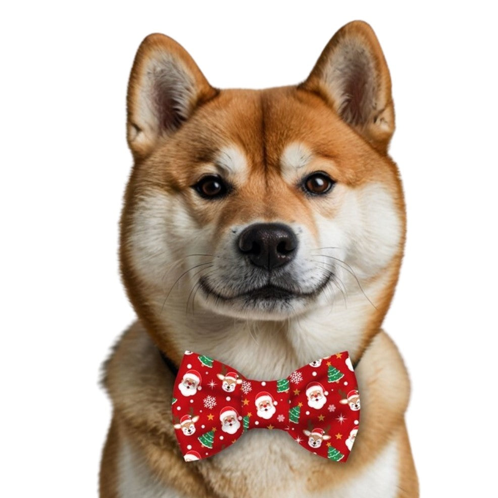 Christmas Bow tie for pet