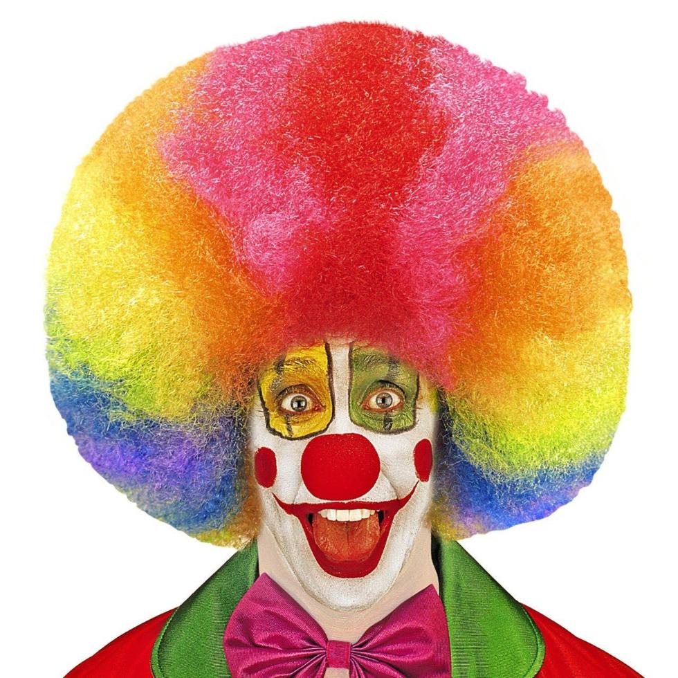 Super Multicolour Afro Wig