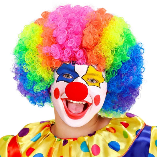 Kids Multicolour Clown Wig