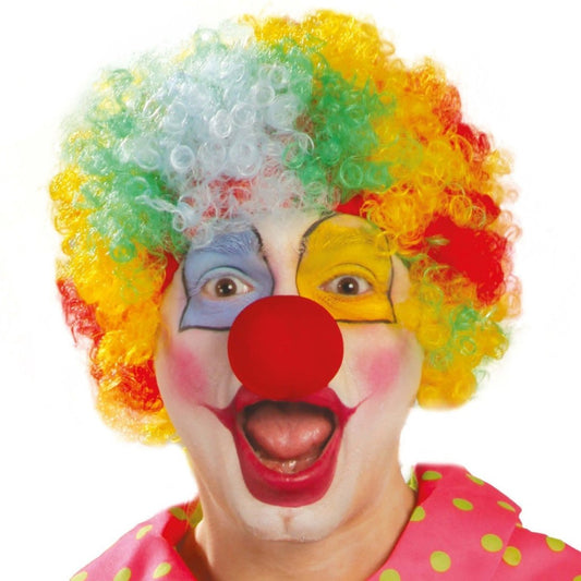 Multicolour Clown Wig