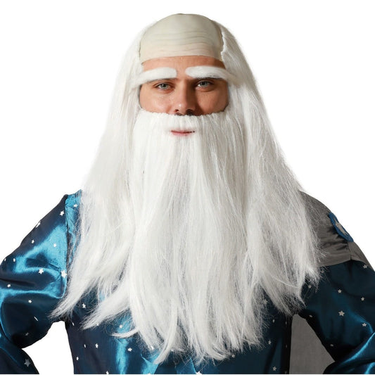 Wizard Wig and Beard