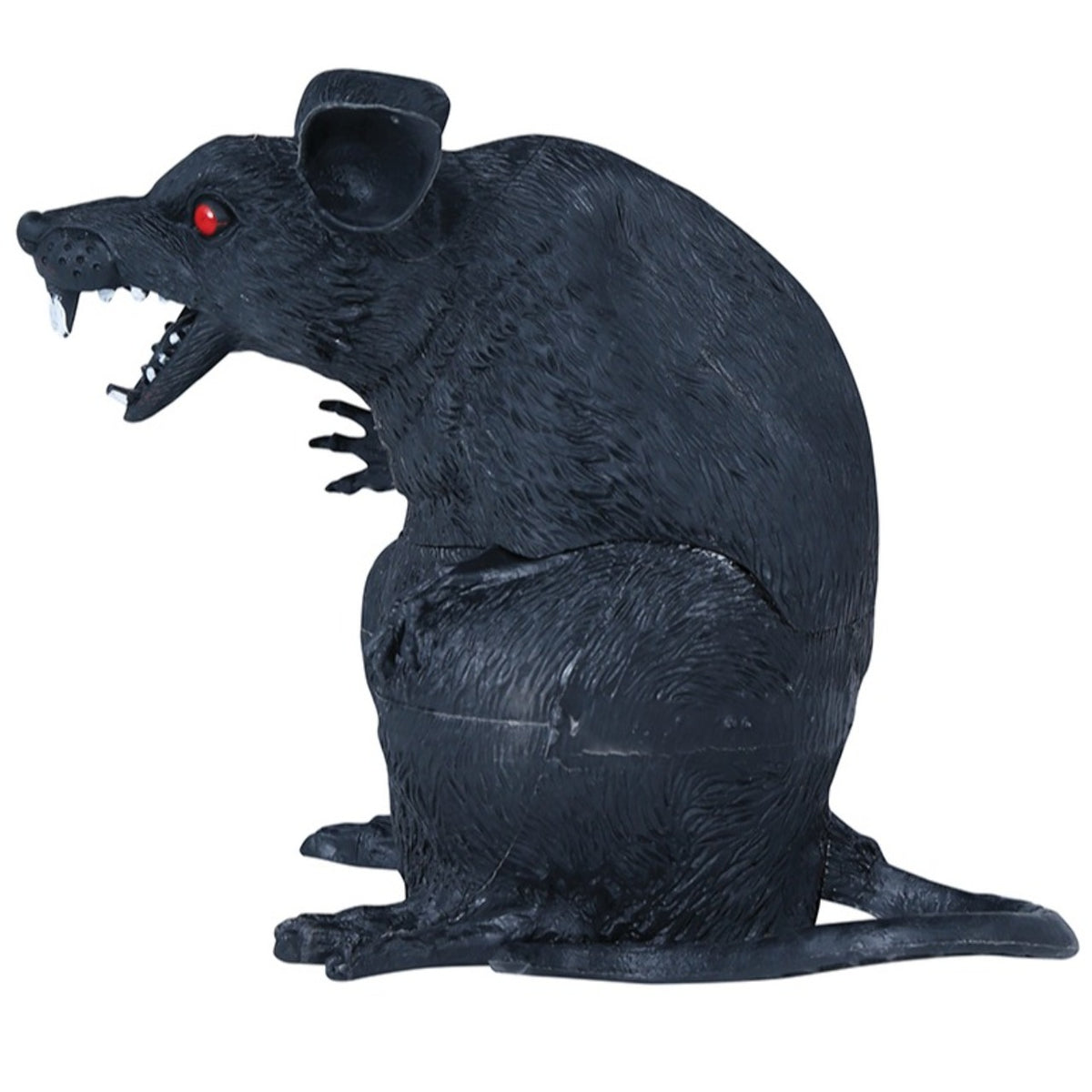 Seated Rat