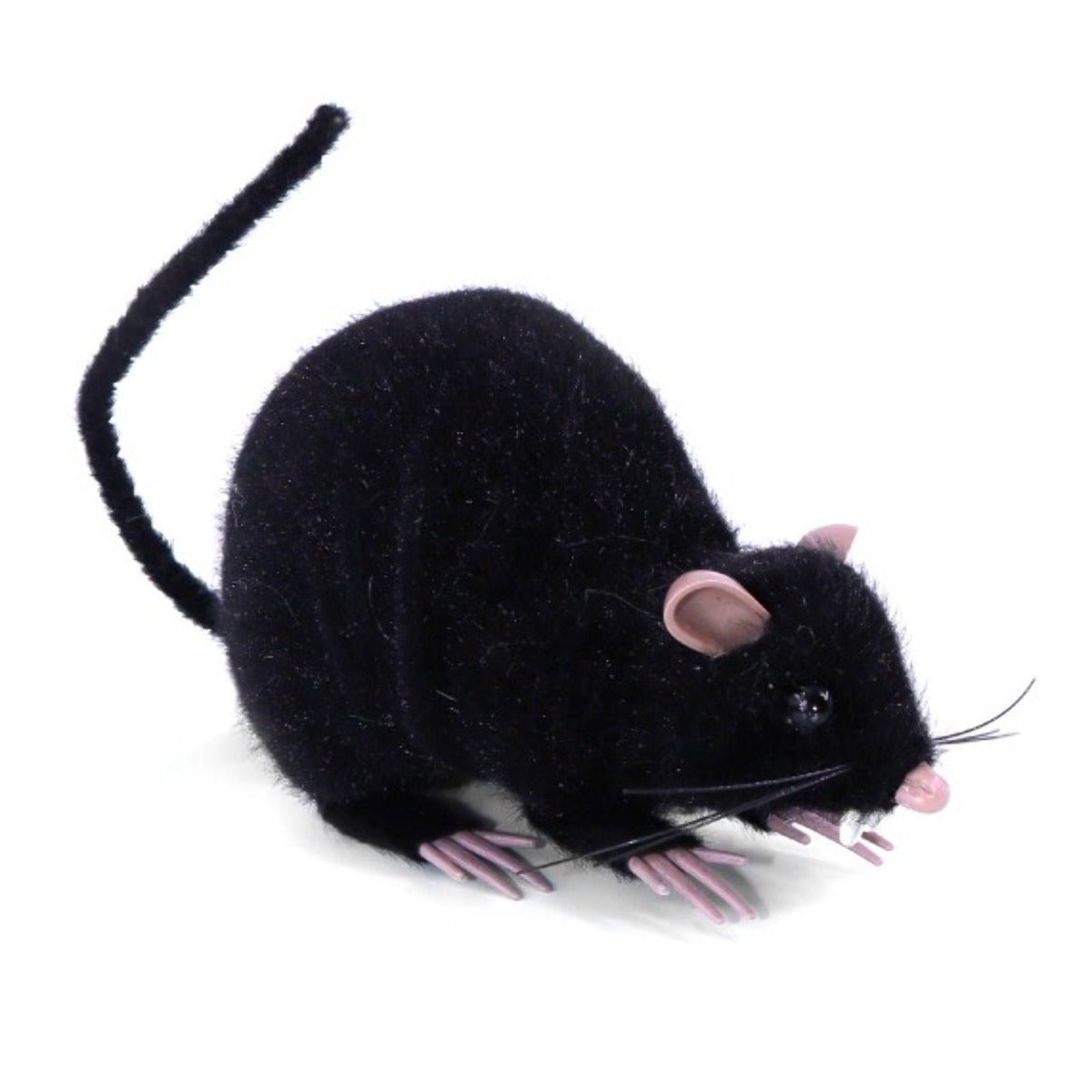 Black Mouse