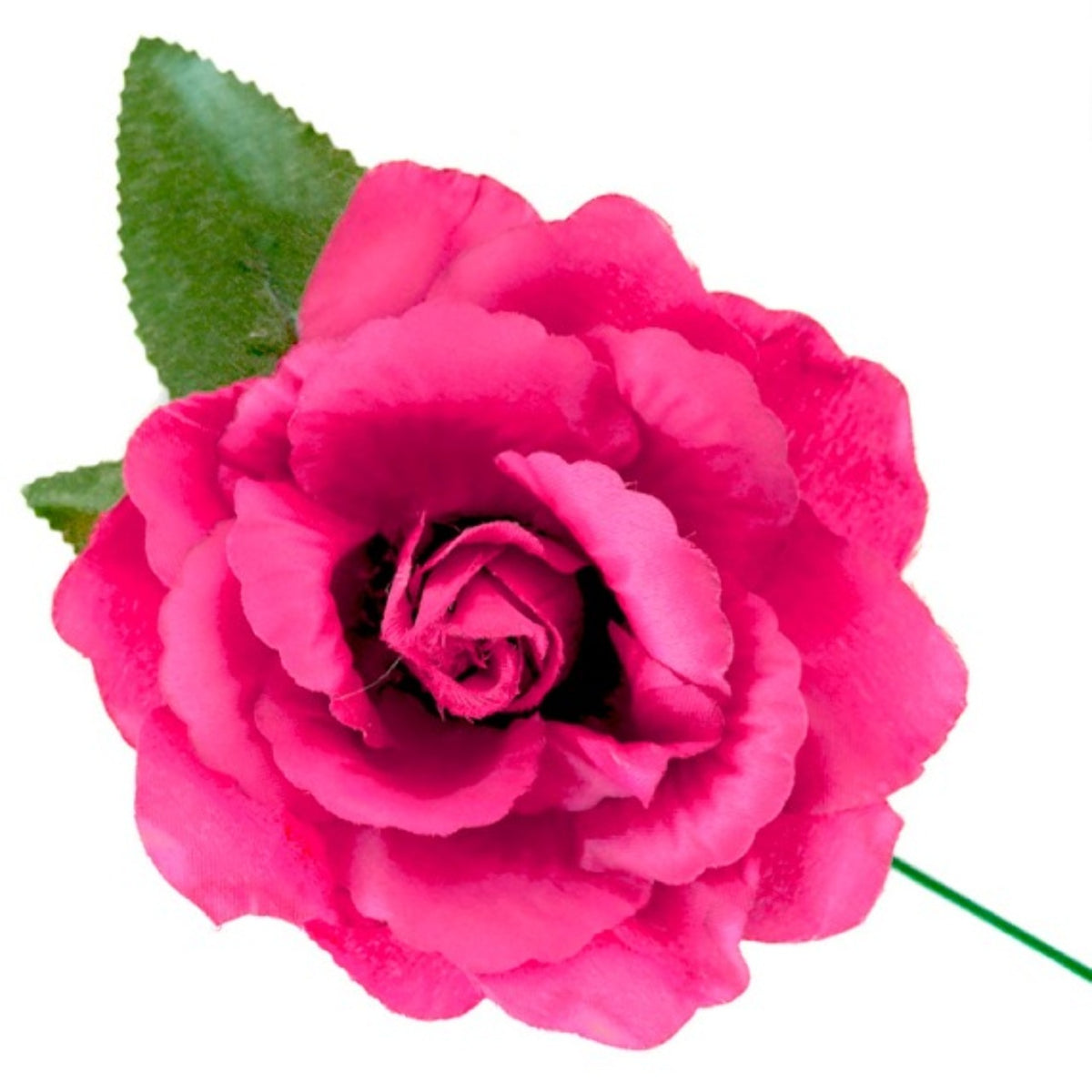 Fuchsia Pink Flamenco and Chulapa Rose