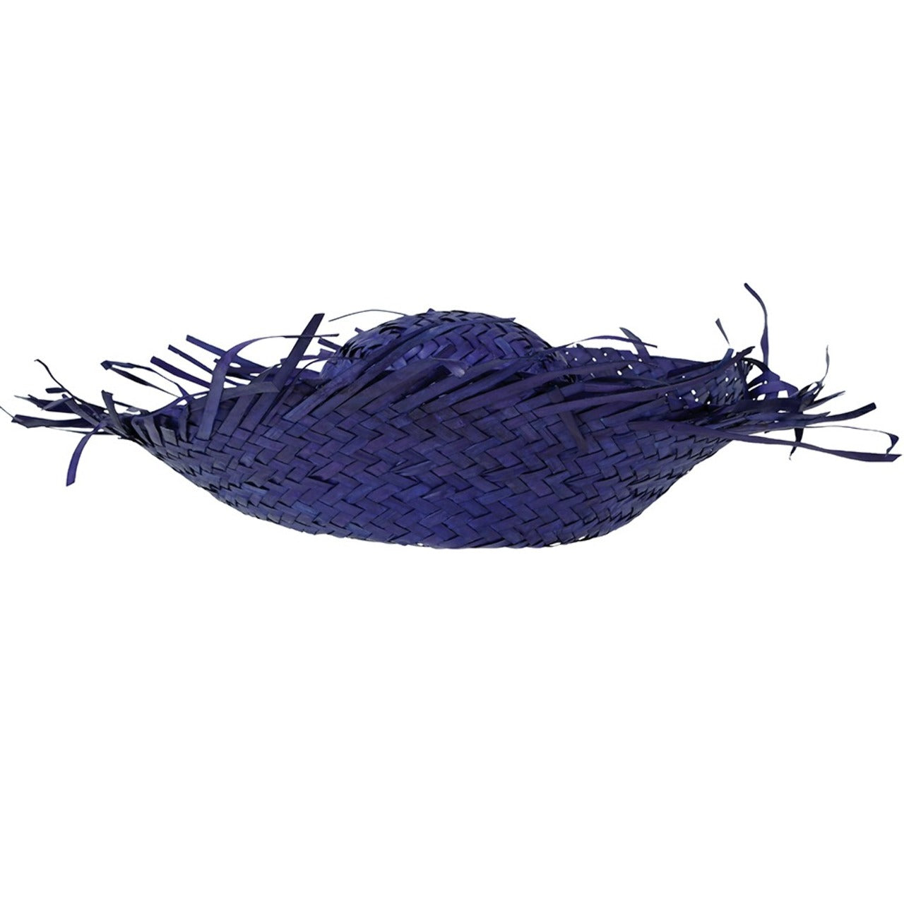Blue Straw Hat