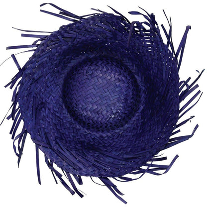Blue Straw Hat