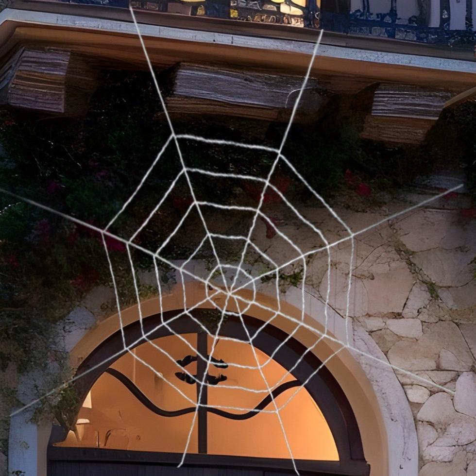 Giant Spider Web