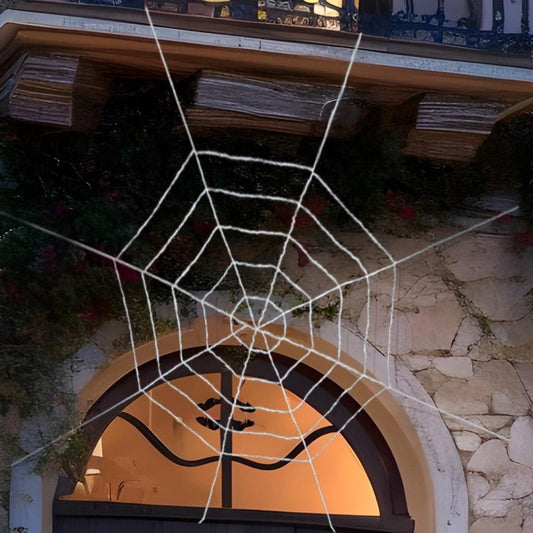 Giant Spider Web