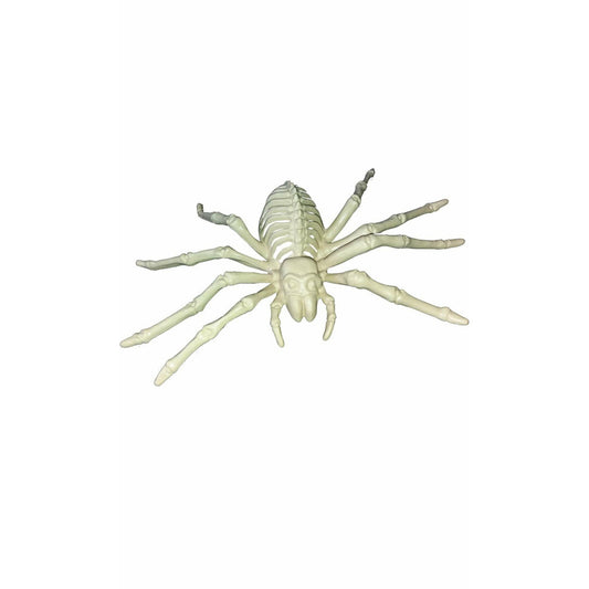 Esqueleto Araña | Don Disfraz