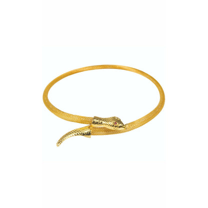 Collar de Serpiente | Don Disfraz