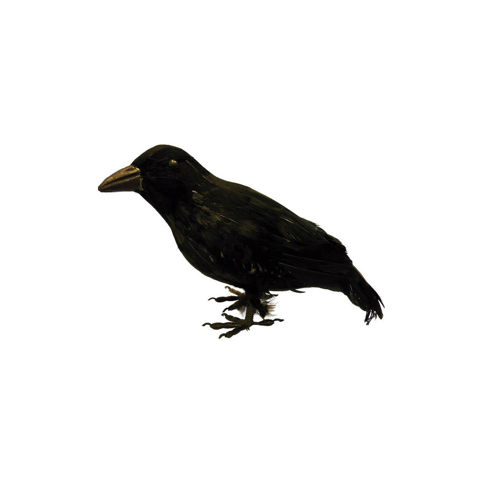 Cuervo Negro | Don Disfraz