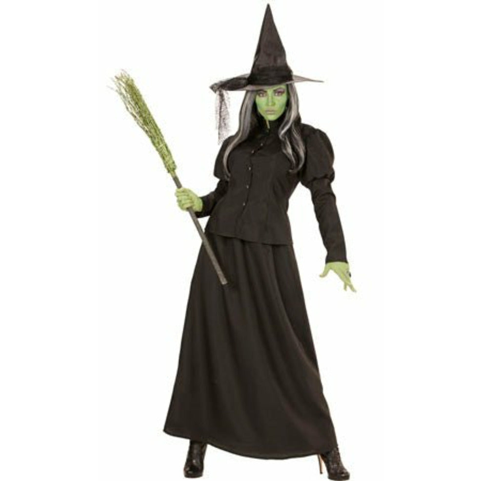 Disfraz de Bruja Elphaba para mujer | Don Disfraz