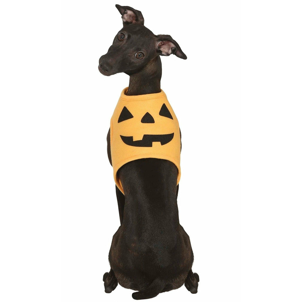 Disfraz de Calabaza Naranja para mascota | Don Disfraz