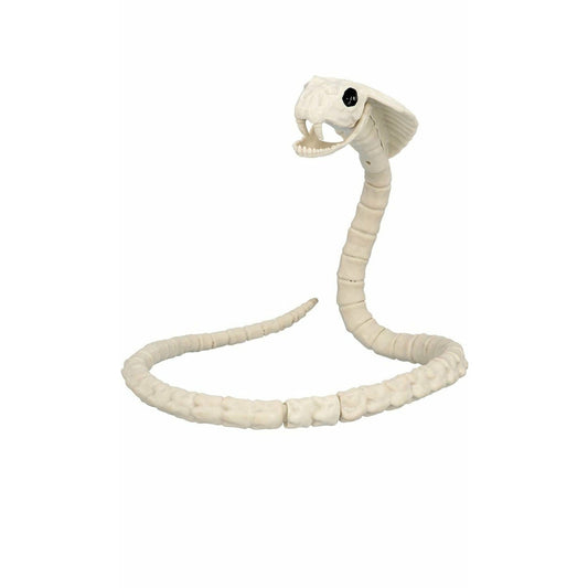 Esqueleto de Serpiente | Don Disfraz
